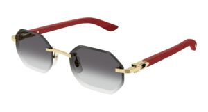 CARTIER CT0439S-003-cat-xxl